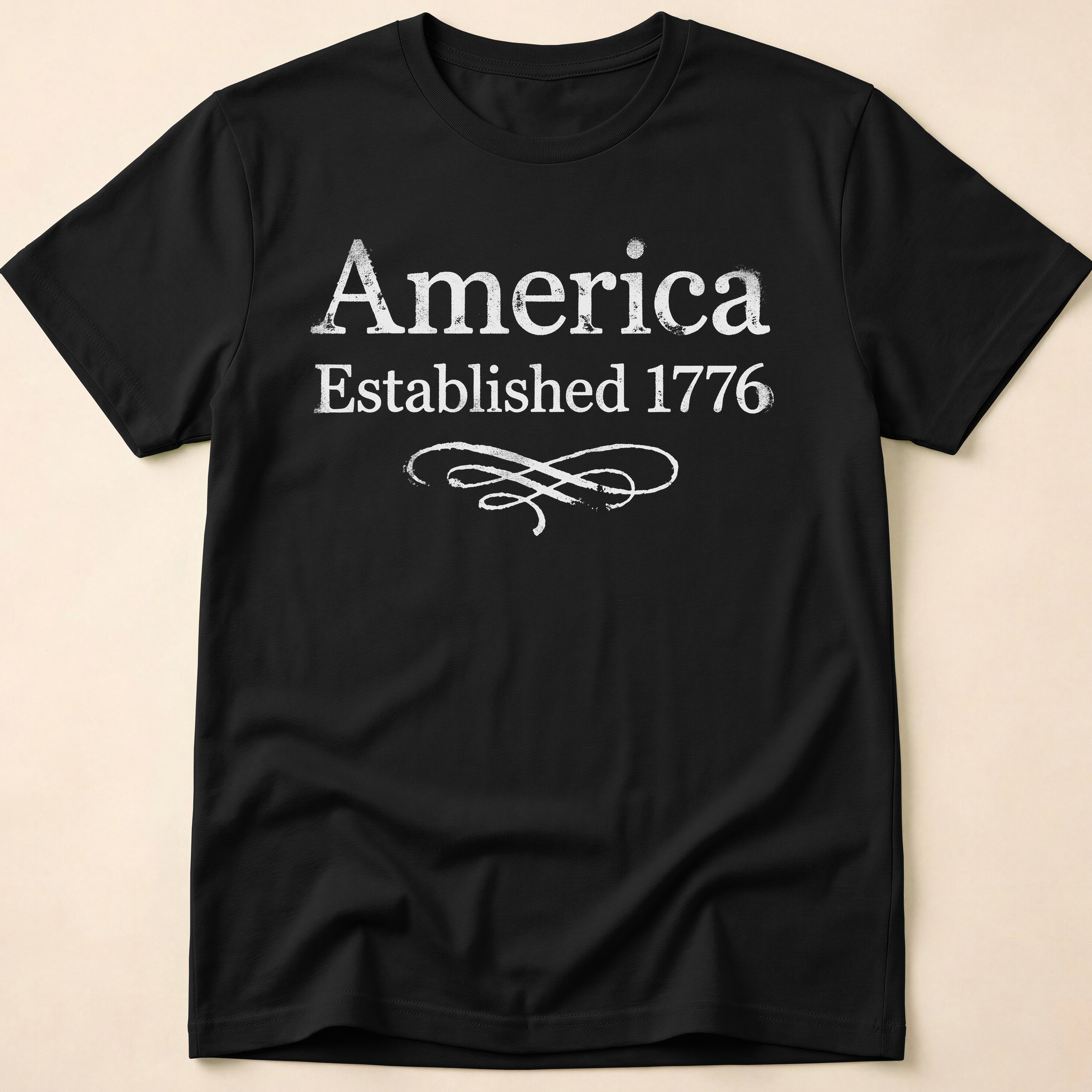America Established 1776 Vintage Elegant Flourish T-Shirt