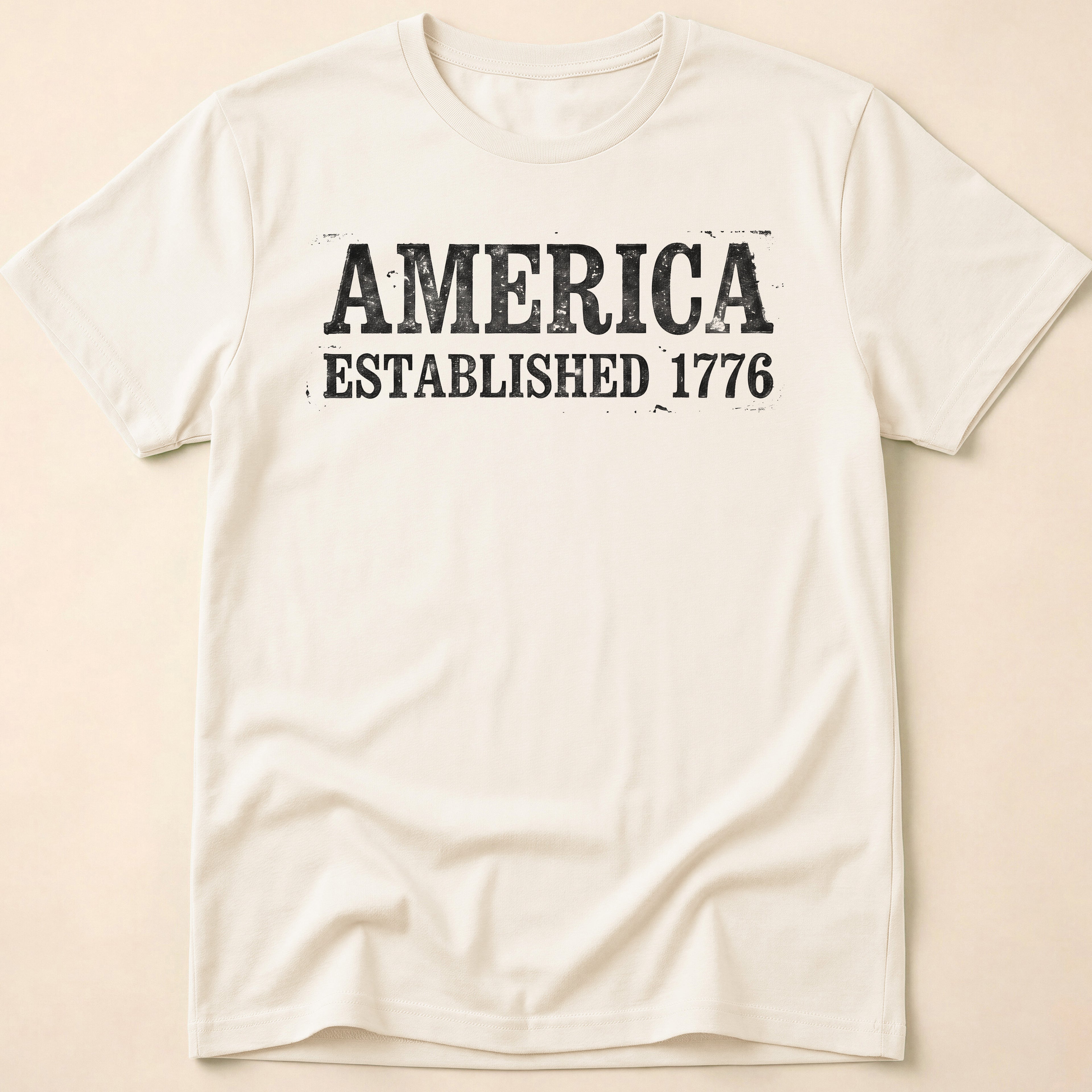 America Established 1776 Vintage Bold Distressed T-Shirt